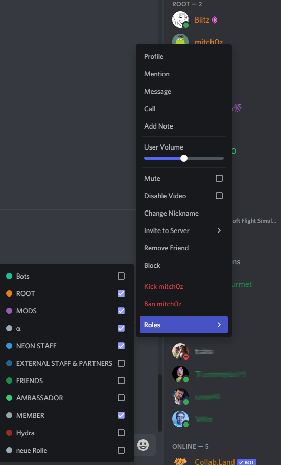 Make a professional discord server for you with proper roles and